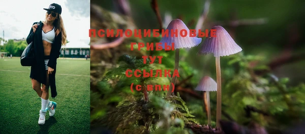 эйфоретик Абаза