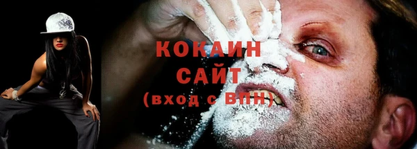 прущие грибы Абдулино