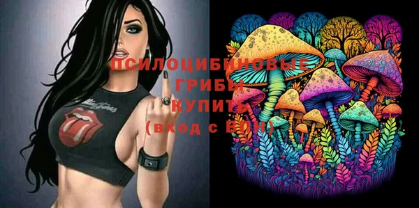 первитин Абинск