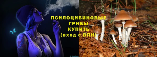 эйфоретик Абаза