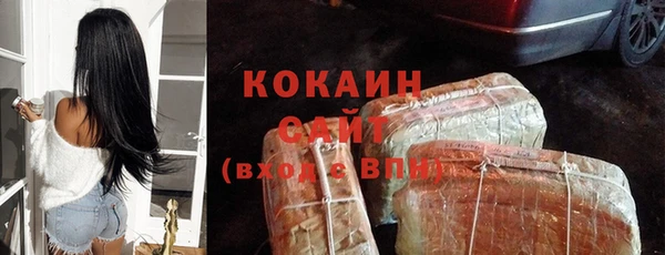 прущие грибы Абдулино
