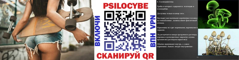 магазин    Дербент  Псилоцибиновые грибы Cubensis 