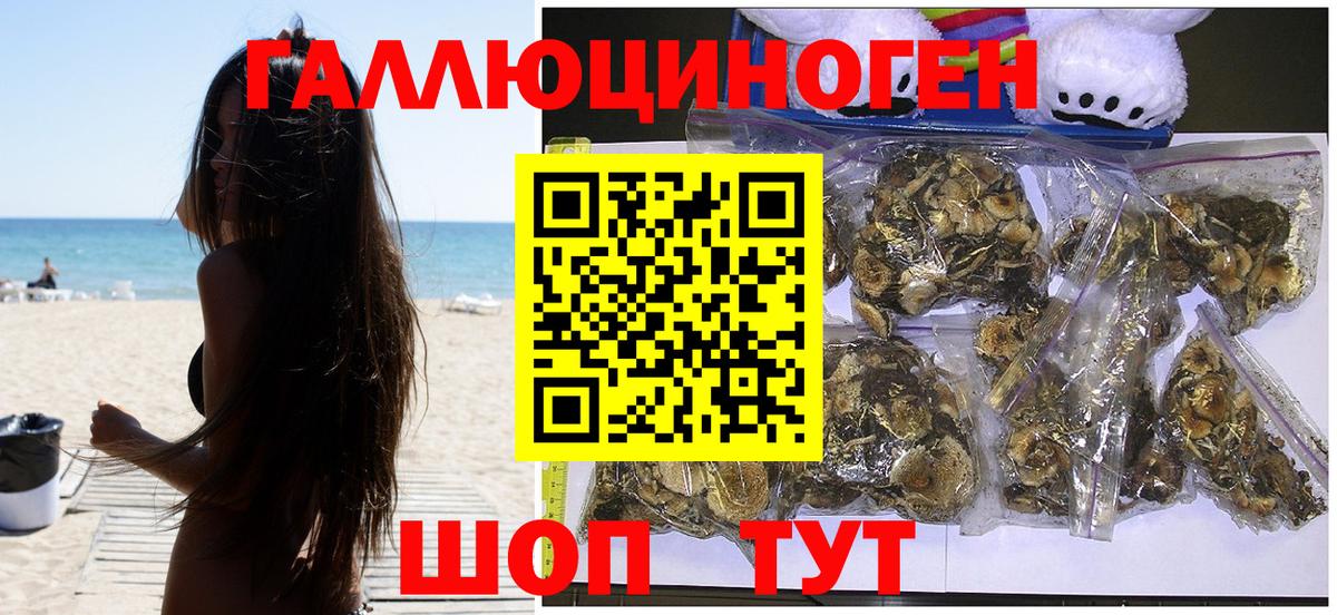 Дербент  Галлюциногенные грибы мицелий  Вход с VPN 